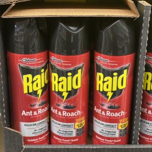 Raid ant and roach