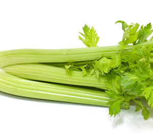 Fresh Celery