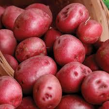 5lb Red Potatoes