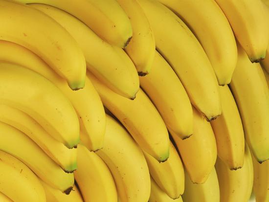 several fresh bananas u l q10sogs0